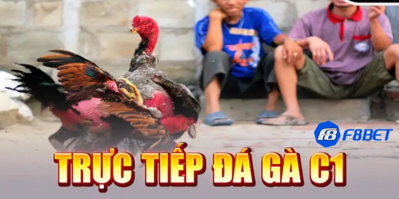 casino đá gà c1 Những điều hấp dẫn từ casino đá gà C1 bạn nên trải nghiệm