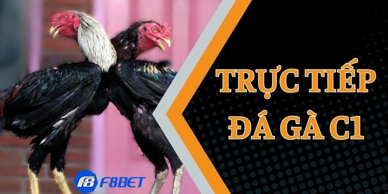 casino đá gà c1 Luật chơi tại casino đá gà C1: Quy định và điều chỉnh