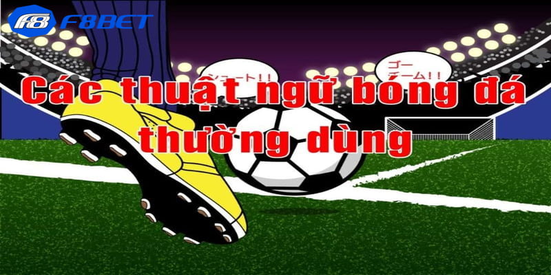 Tổng hợp những thuật ngữ cá độ bóng đá thường gặp