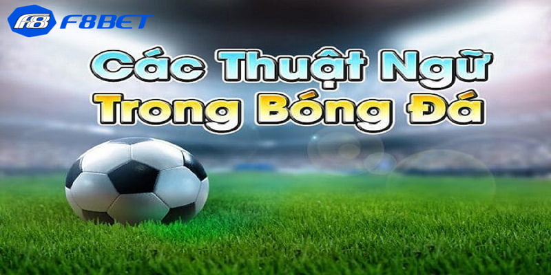 Thuật ngữ cá độ bóng đá có lợi ích gì 