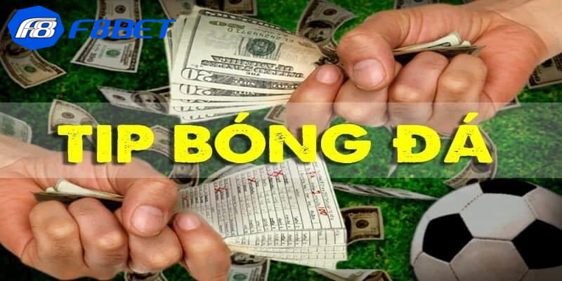tips bóng đá Một số loại tips bóng đá phổ biến hiện nay