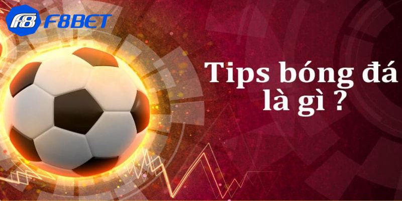 tips bóng đá Tổng quát về tips bóng đá là gì?