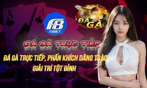 đá gà trực tiếp