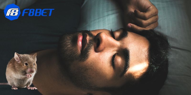 Nằm mơ thấy chuột có thể ám chỉ một vấn đề nhỏ đang dần trở nên lớn hơn trong cuộc sống của bạn