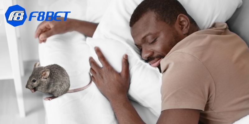 Nằm mơ thấy chuột có thể là một cảnh báo về sự xuất hiện của những người không đáng tin cậy