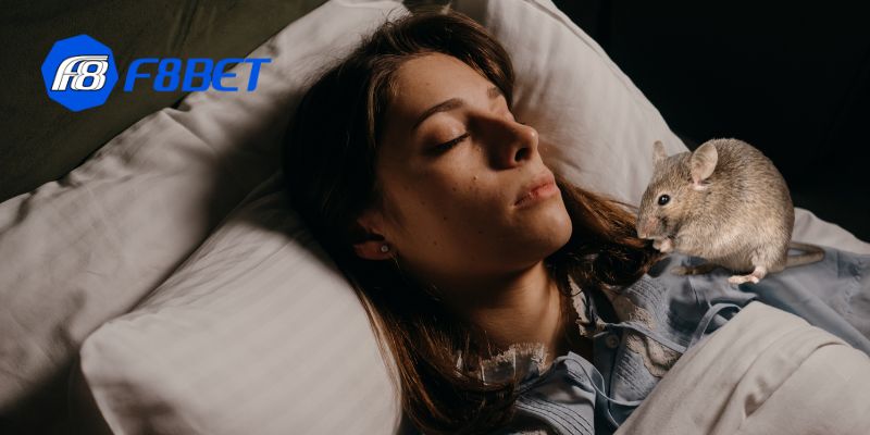 Bạn có thể tự hỏi tại sao lại nằm mơ thấy chuột, có phải nó đang mang một thông điệp đặc biệt?