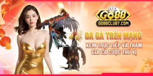 da-ga-tren-mang-xem-truc-tiep-va-tham-gia-ca-cuoc-thu-vi