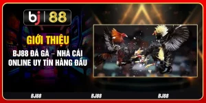 Giới Thiệu Bj88 Đá Gà – Nhà Cái Online Uy Tín Hàng Đầu