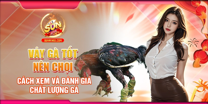 vay-ga-tot-nen-choi-cach-xem-va-danh-gia-chat-luong-ga