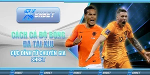 cách cá độ bóng đá tài xỉu
