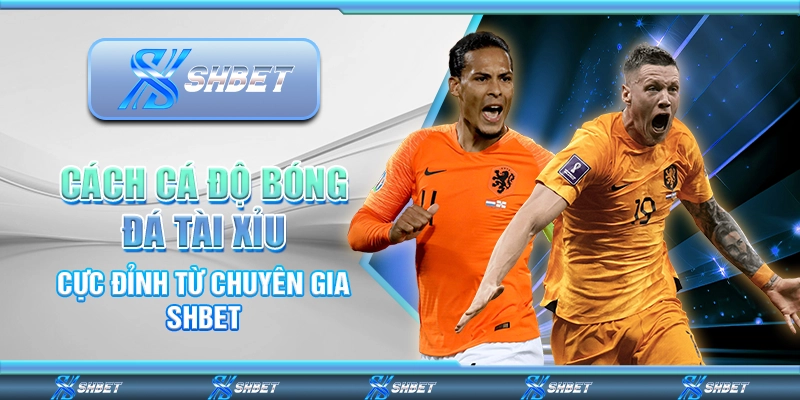 cách cá độ bóng đá tài xỉu