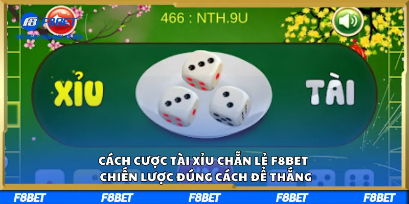 Cách Cược Tài Xỉu Chẵn Lẻ F8BET – Chiến Lược Đúng Cách Để Thắng