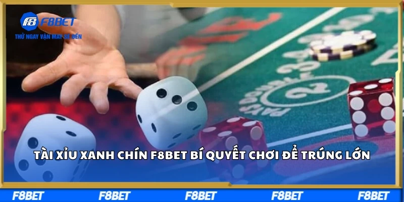 Tài Xỉu Xanh Chín F8BET – Bí Quyết Chơi Để Trúng Lớn