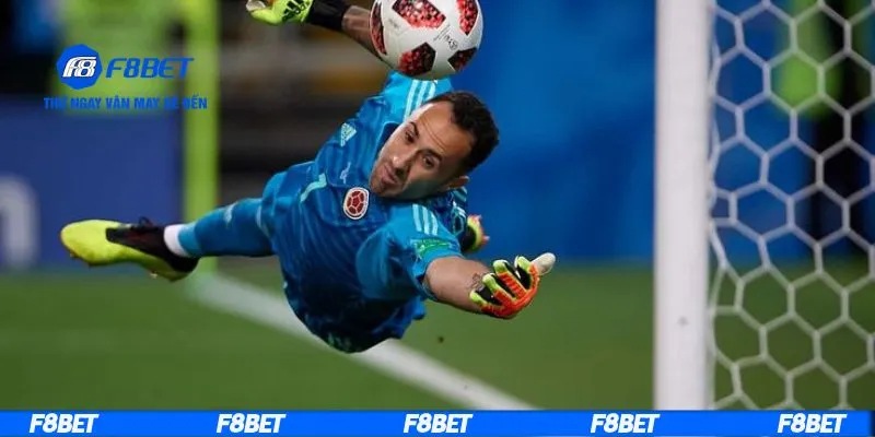 Cách đọc tỷ lệ kèo đội vào top 4