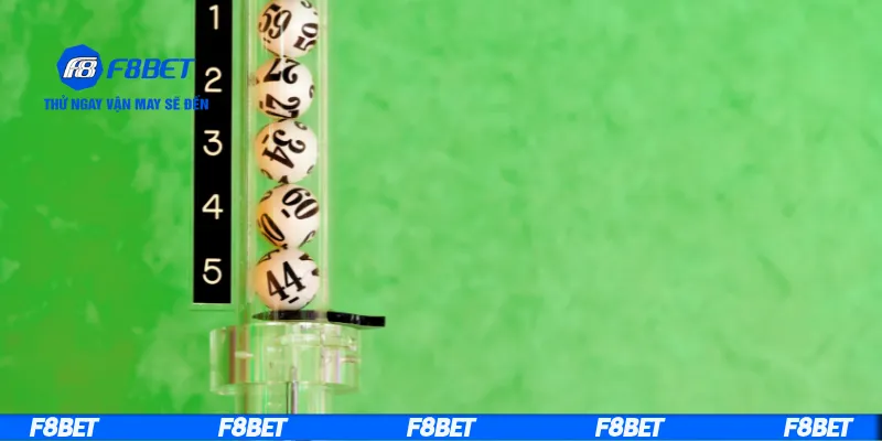 Cách nuôi lô bạch thủ an toàn nhất