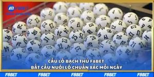 Cầu Lô Bạch Thủ F8BET – Bắt Cầu Nuôi Lô Chuẩn Xác Mỗi Ngày
