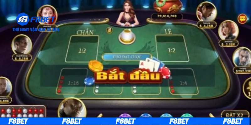 Tìm hiểu bí quyết đánh xóc đĩa chuẩn